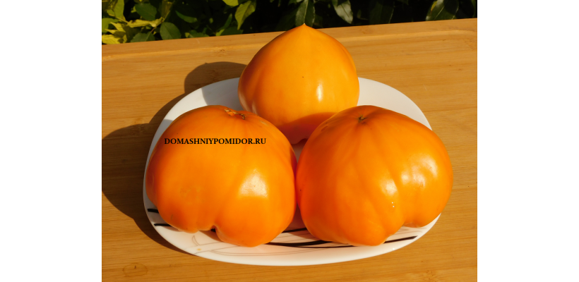 Козула 121 ( Kozula 121, Orange Strawberry x Persimmon , żółty wysoki , owoce duże , mięsiste, Польша)