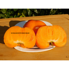 Оранжевый гигант от Гонсиоровского ( Минусинск)
