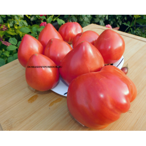 Сердцевидные томаты