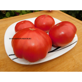 Розовые и малиновые томаты