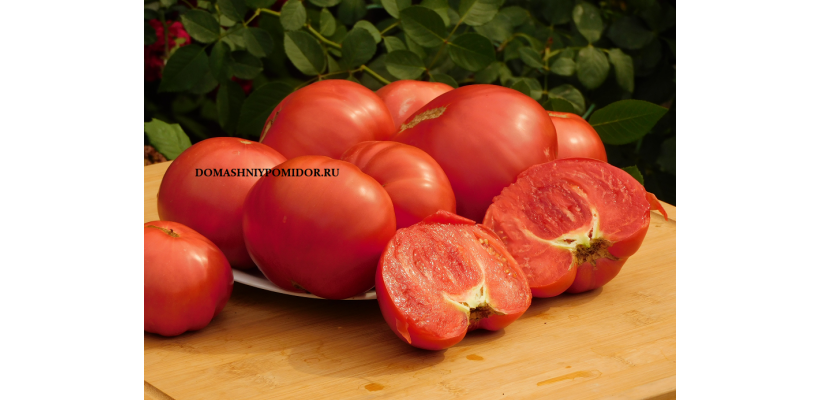 Коллекция Старинные сорта томатов