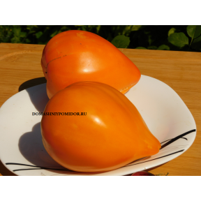 Оранжевое сердце от Анжелины (Orange Heart From Angelini, Норвегия)