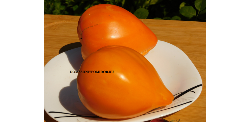 Оранжевое сердце от Анжелины (Orange Heart From Angelini, Норвегия)
