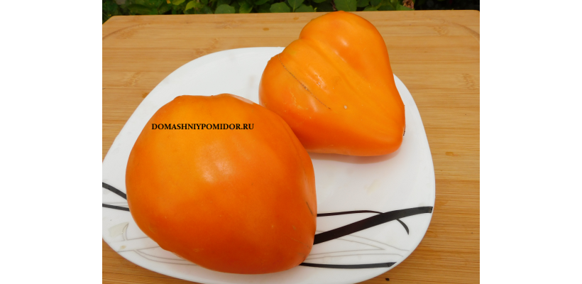 Оранжевое сердце Пэйсака (Orange Heart Pasak) 