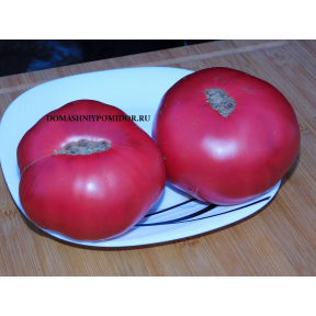 Гигантский Томат Пататаро ( Pomodoro Gigante Patataro, Италия)