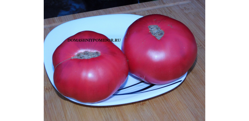 Гигантский Томат Пататаро ( Pomodoro Gigante Patataro, Италия)