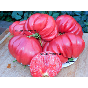 Бифштекс Альби ( Beefsteak Albi, Минусинск)