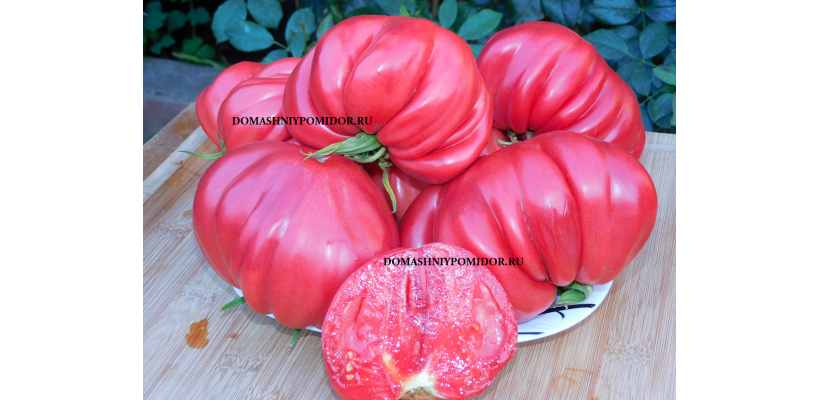 Бифштекс Альби ( Beefsteak Albi, Минусинск)