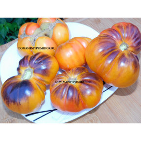 Итальянский Синий (  Italian blue, Италия)