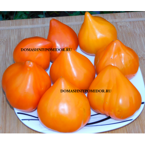 Кызыл Тау Оранжевый ( Казахстан)