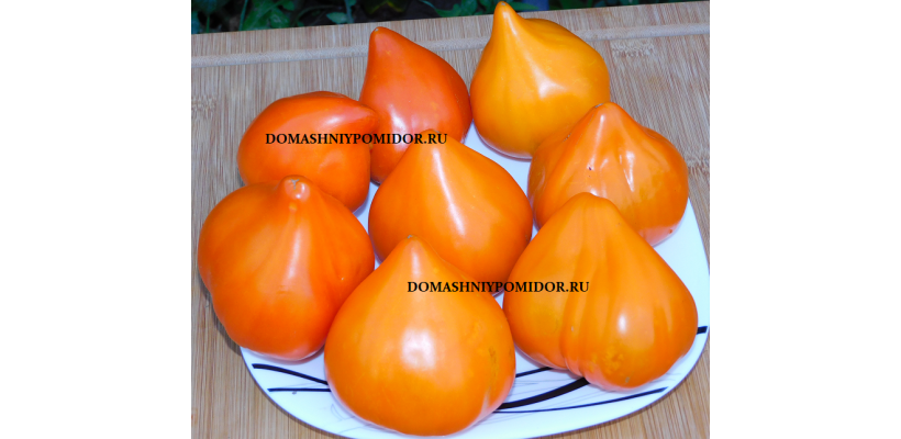 Кызыл Тау Оранжевый ( Казахстан)