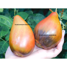 Пленительное Сердце