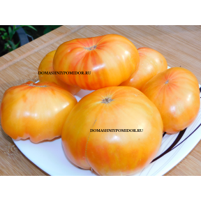 Сладкий Янтарь ( Sweet Amber)