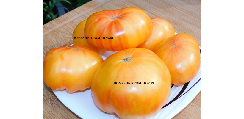 Сладкий Янтарь ( Sweet Amber)