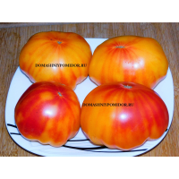 Уоррен Бис ( Warren Bees)