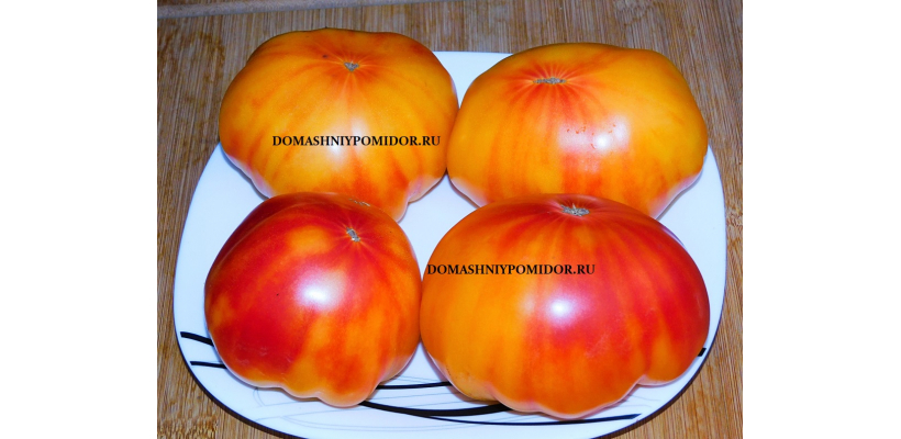 Уоррен Бис ( Warren Bees)