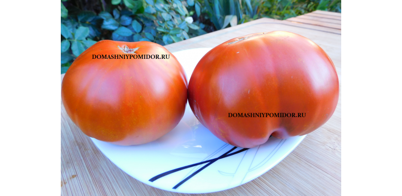 Вишнёвый Мясник