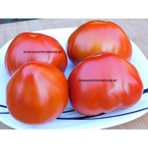 Заилийский Алатау Кирпичный ( Казахстан) 