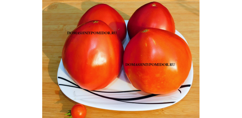Жалын Сердцевидный ( Казахстан)