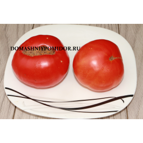 Все коллекционные сорта томатов