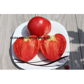 Помидор из Хейса   ( Hey’s Tomato, США)