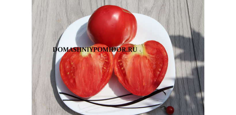Помидор из Хейса   ( Hey’s Tomato, США)