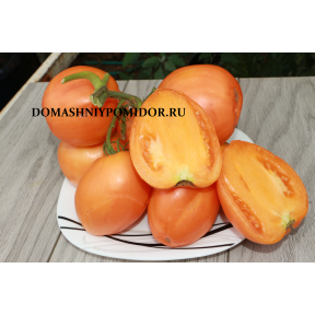 Ранний оранжевый Розали ( Rosalie’s Early Orange, США)