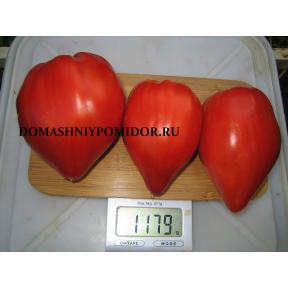 Остроконечное сердце Марика ( Marek' s Pointy Heart, США)