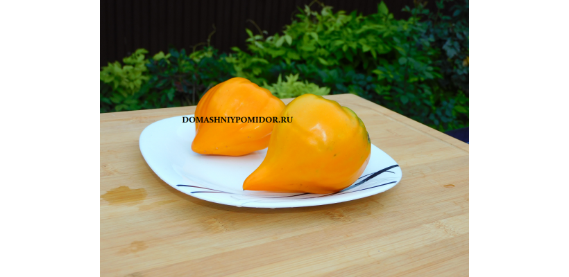 Оранжевая Ягода ( Orange Berry, США)        