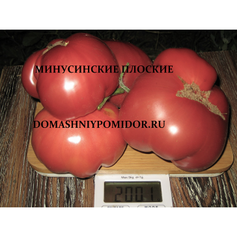 Лев минусинский отзывы фото