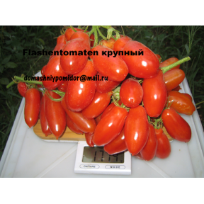 Flashentomaten Крупный ( Бутылочные, Германия )