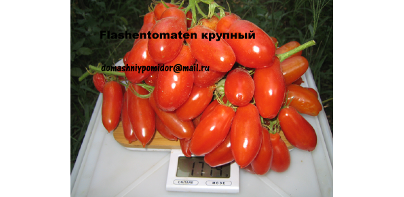 Flashentomaten Крупный ( Бутылочные, Германия )