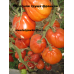 Красная груша Франчи ( Red Pear Franchi, Италия )