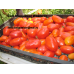 Коллекция томатов- Засолочные сорта