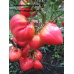 Коллекция томатов- Бычье сердце
