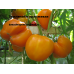 Земляника оранжевая ( Orange Strawberry, США ) 