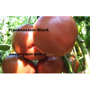 Чёрный Франкенштейн ( Frankenstein Black )