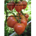 Коллекция томатов- Минусинские сорта