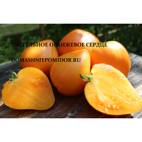 Пастельное оранжевое сердце ( Pastel Orange Heart, США)