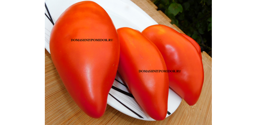 Большая Паста Розали ( Rosalie's Large Paste, США)