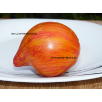 Сердечный Штрих 