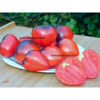 Знаменитая клубника миссис Шлаубах Х Ауэрмуом Апгье       