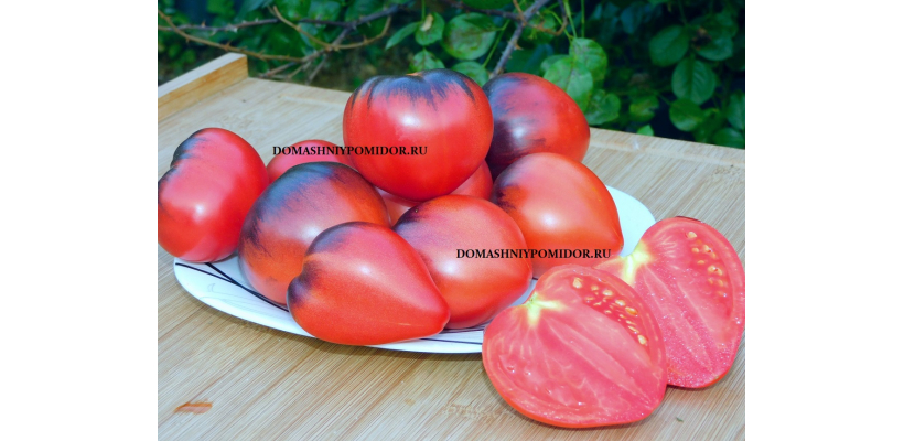 Знаменитая клубника миссис Шлаубах Х Ауэрмуом Апгье       