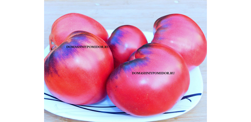 Дедушкин Мёд Х Ауэрмуом Апгье