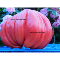 Гигантское Сердце Монбельярд ( Giant Heart of Montbéliarde)