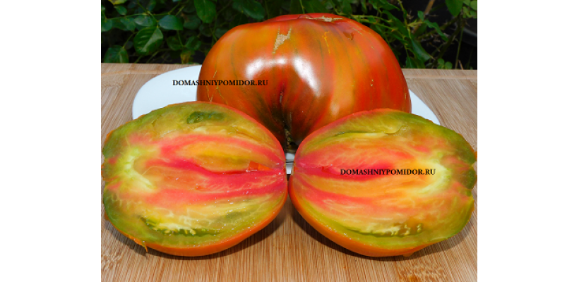 Козула 237 ( Kozula 237, Podkładka x Orange Strawberry, Польша)