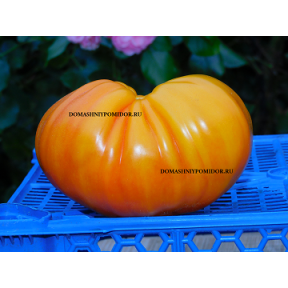 Медовый Гребень
