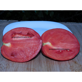 Гигантский Перец Эльга (  Giant Elga Pepper Like, Франция)
