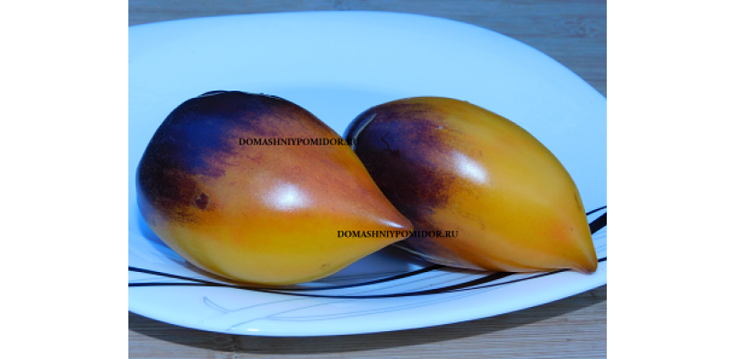 Сердце Дениса