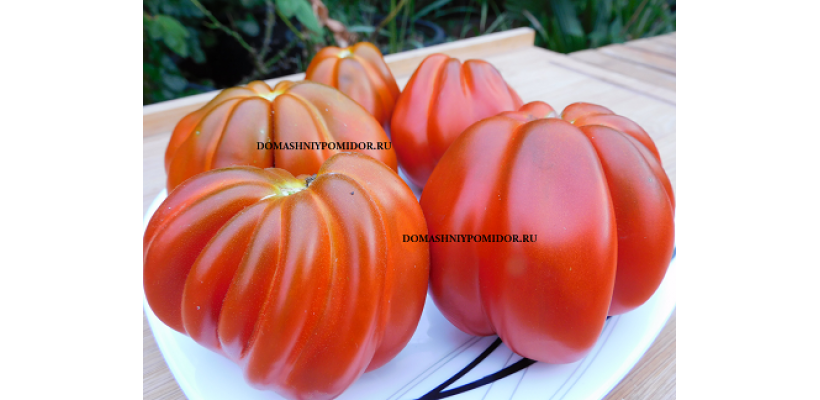 Шоколадная Клубника ( Fragole af Cicoolato, Италия)